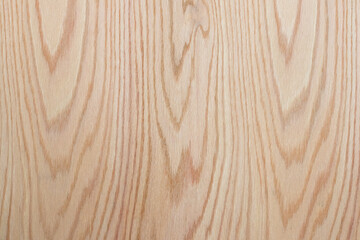 Background with wood texture. Natural wood pattern. Oak texture with knots