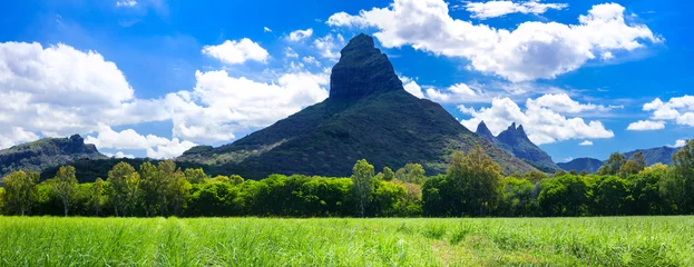 Foto op Canvas stunning tropical nature of Mauritius island, Rempart mountain view in Tamarin bay, Black river © Freesurf