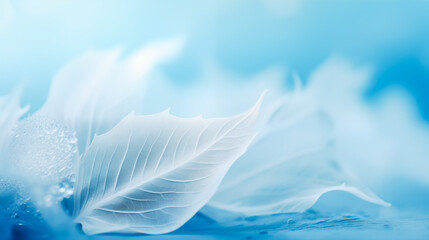 light blue leaves covered in a layer of white frost. The background is a gradient of light blue and white, creating a cool and serene mood. Winter background.	