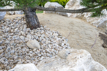 Laying a decorative stone under a bonsai tree.
