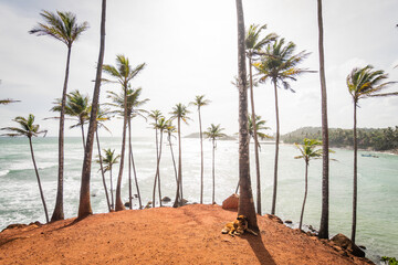 panoramic view of mirissa beach, sri lanka