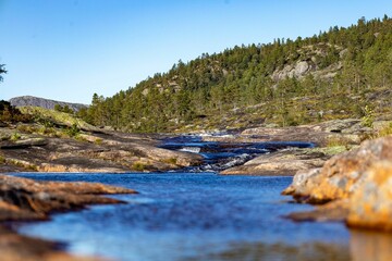 a stream running through some rocks in a forest filled area