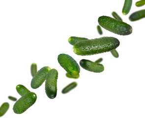Gherkin cucumbers fly in space forming the shape of a chain. Isolated on white