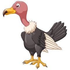Illustration of a vulture on a white background, vector illustration
