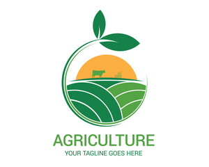 Agriculture and  farm logo design and vector template.