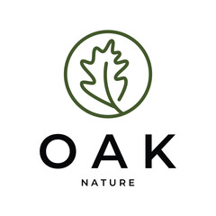 oak leaf line art Logo Vector simple Icon Template design