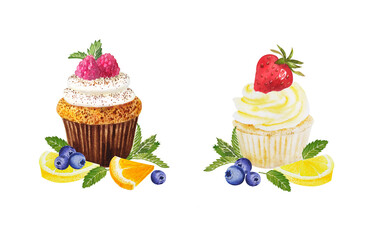 Watercolor illustration of sweet cupcakes with fruits. Cliparts isolated for different cafe menu or food designs