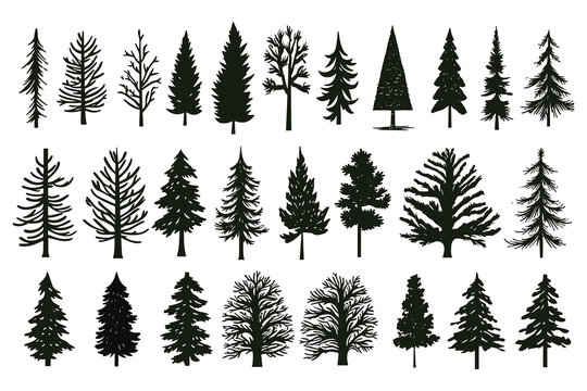Christmas tree set hand drawn illustration. chritmas tree silhouettes. Christmas pine trees silhouette icon vector illustration