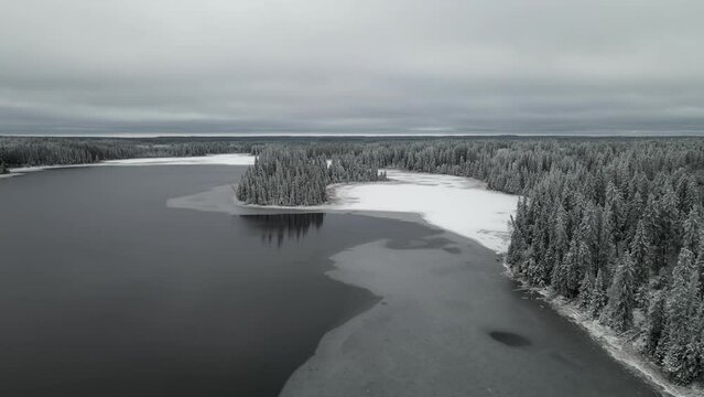 Drone moving forward over a winter scene with a large lake and a surrounding forest. The water is still and reflecting some of the trees. The spruce and pine trees are covered with fresh snow. The lak