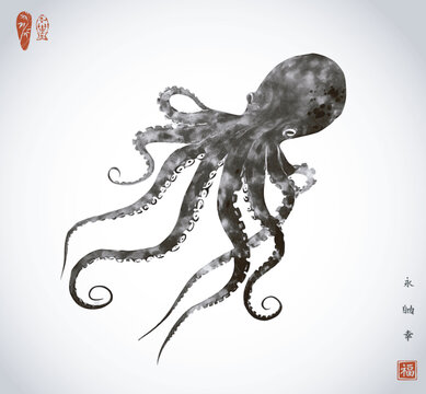 Ink painting of octopus on white background. Traditional oriental ink painting sumi-e, u-sin, go-hua. Hieroglyphs - eternity, freedom, happiness.