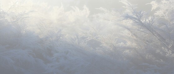 Frost-covered plants create a delicate and ethereal winter background - obrazy, fototapety, plakaty