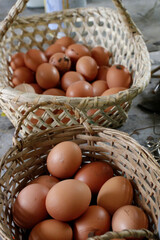 Huevos criollos de campo frescos, de gallineros amigables y gallinas felices de fincas sin jaulas