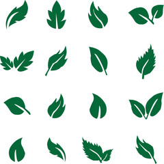  Leaf icon set. Fresh green leaves various shapes isolated on white background