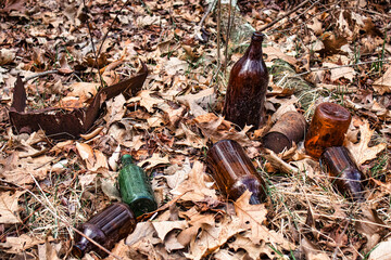empty glass bittles carelessly left behind by strangers somewhere in a forest