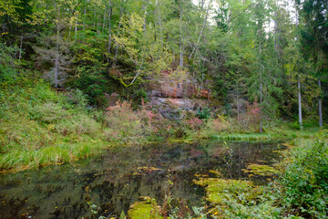 Obraz premium Ancient red sandstone cliffs in Latvia. Old river tributary with green aquatic plants