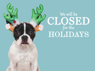 Signboard with the inscription We will be closed for the Holidays. Cute puppy. Closeup, indoors....