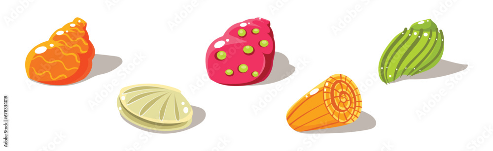 Poster colorful shells and conch sea element vector set