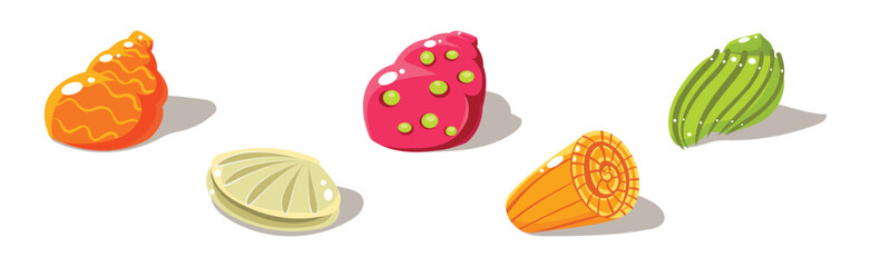 Colorful Shells and Conch Sea Element Vector Set