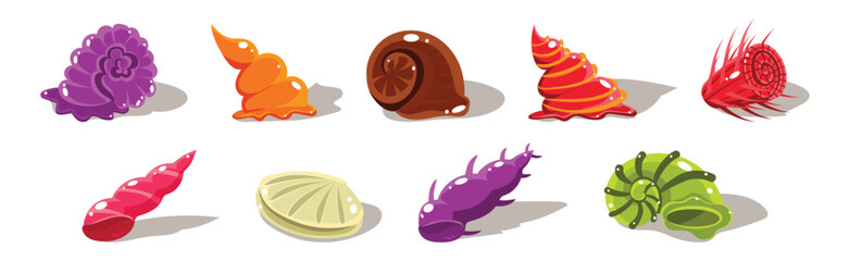 Colorful Shells and Conch Sea Element Vector Set