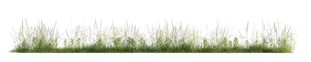 Green grass isolated on transparent background. 3D render.