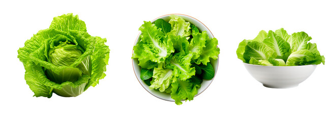 Top view of fresh lettuce in whole, cut in a bowl over isolated transparent background