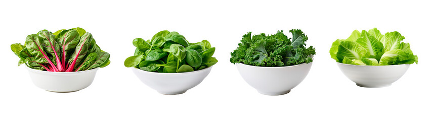 Set of four bowls full of chard, spinach, kale and lettuce on isolated transparent background - obrazy, fototapety, plakaty