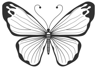 black silhouette of a butterfly without background