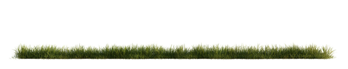 Green grass isolated on transparent background. 3D render.	