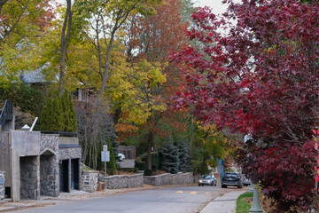 Fall colors Autumn romantic picturesque landscape scenery in Montreal, Quebec Canada Indian Summer natural beauty glowing changing leaves residential houses hoods