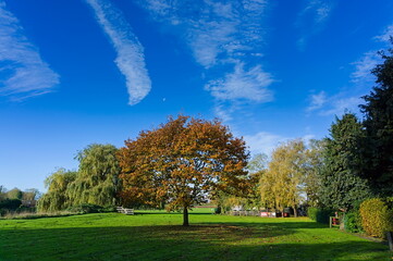 park in autumn. Wainfleet all saints. UK