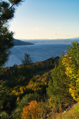 Obraz premium Bright and multicolored autumn forest landscape.