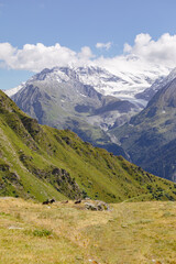 Fototapeta na wymiar Montaña