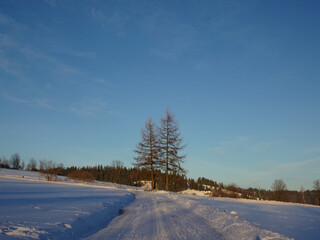 A roadside shrine placed on a mountain road between two spruce trees at sunrise near Glodowski Wierch on a frosty winter morning, Bukowina Tatrzanska, Poland.
