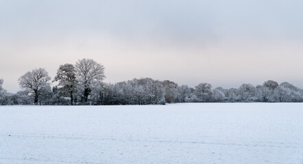 Field in English Countryside in Winter