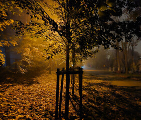 Street near Julianowski Park in Lodz lit with street lamps on a cloudy foggy autumn night, Lodz, Poland.