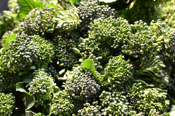 Close up of broccoli vegetable.