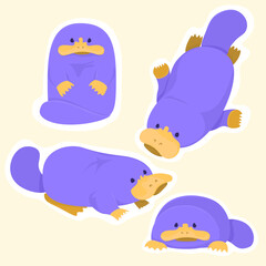 A set of cartoon images of platypuses in different poses of pale purple colour.