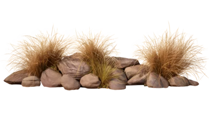 Foto op Aluminium Isolate savanna dry grass meadow shrubs with rocks on transparent backgrounds 3d render png © Prasanth