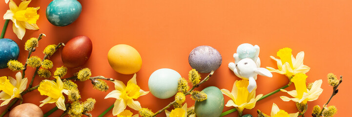 Top view of natural dyes dyed Easter eggs on orange background, yellow daffodils and bunnies, Happy Easter banner