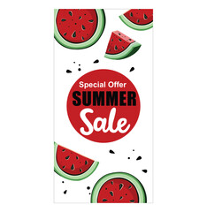 Summer offer, watermelon promotion, illustration 10 eps © irina