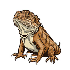 Bearded Dragon Vintage Vector Illustration