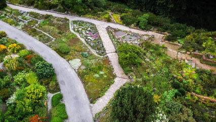 Aerial view on Yellow erysimum Pieninicum flowers  and other in Bremen botanical Garden