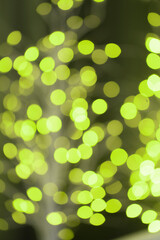 green bokeh background