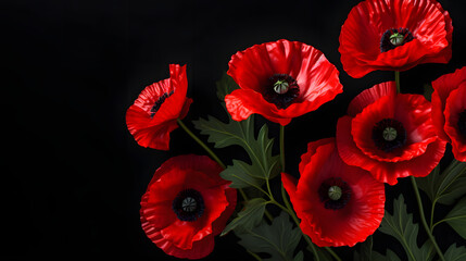 Obraz na płótnie Canvas Red poppies on black background. Remembrance Day, Armistice Day symbol
