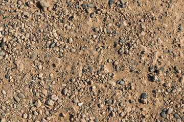 Gravel road texture. Sandy background with stones
