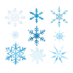 Fototapeta na wymiar Set of different snowflakes isolated on white background. Macro photo of real snow crystals.