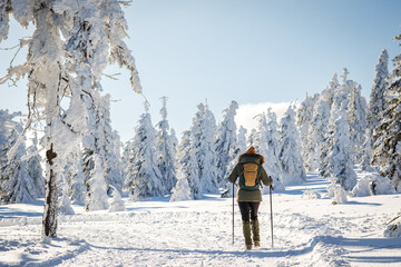Woman with backpack and walking poles is hiking in winter mountain trail. Walk in snow in nature