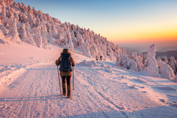 Hiking in snow at winter mountain during sunset. Woman with backpack and nordic walking poles...