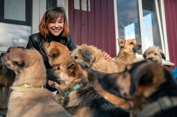 Dog at the shelter. Animal shelter volunteer takes care of dogs.