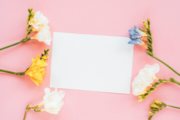 Mockup with blank card and white, yellow and blue freesia flowers on pink backdrop. Spring holidays concept. Top view, flat lay, copy space